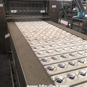 DESHUESADORA PARTIDORA DE MELOCOTÓN FOODTECH 320 APA