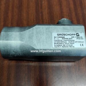 MOTOR GROSCHOPP EGK48-30NI
