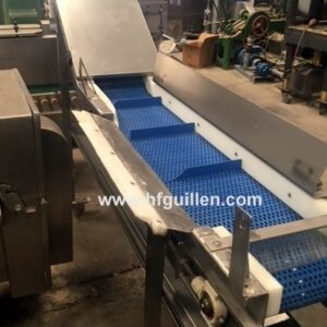 CINTA ELEVADORA CE PALAS LUTRALOX