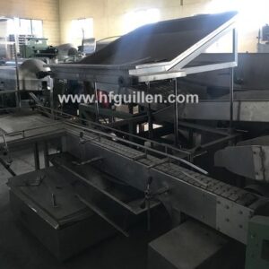 LLENADORA BOTES DE VARIOS FORMATOS CON TRANSPORTADOR